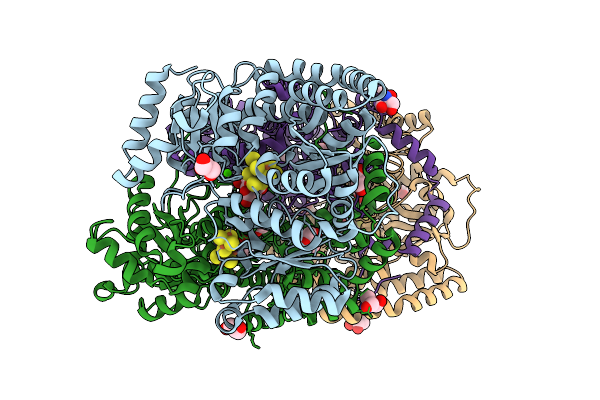 4XPI image