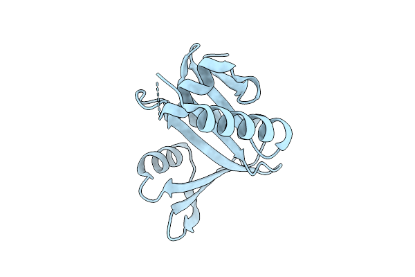 4XPK image