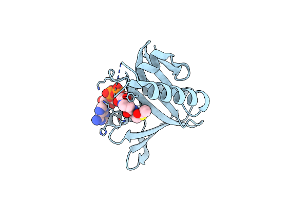 4XPL image