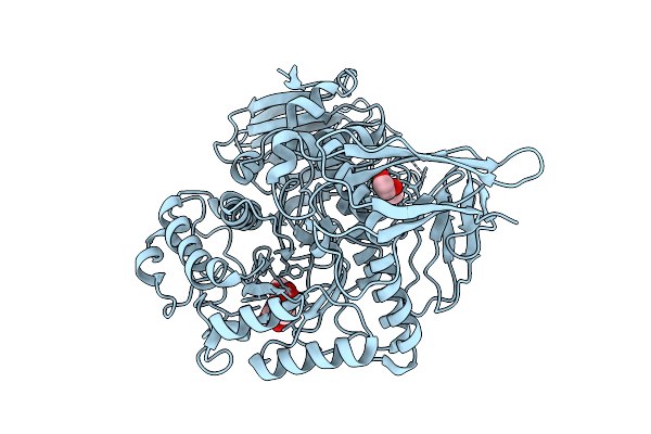 4XPS image