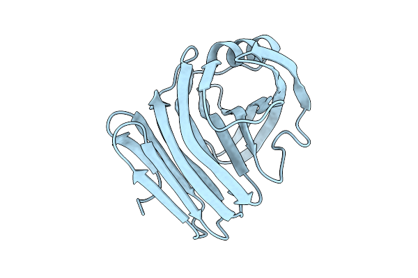 4XPV image