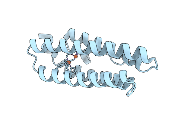 4XPX image