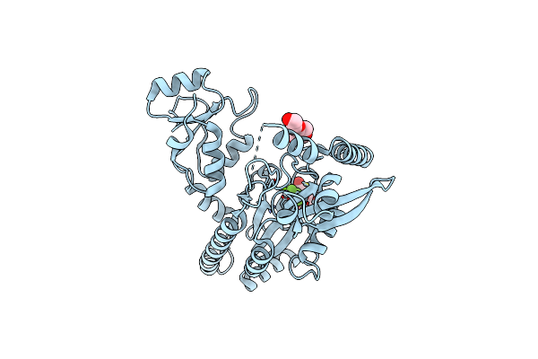 4XPZ image