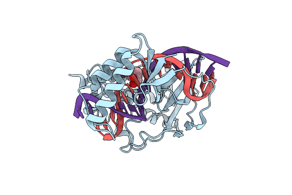 4XR3 image