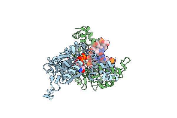4XRH image
