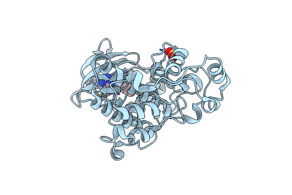 4XRJ image