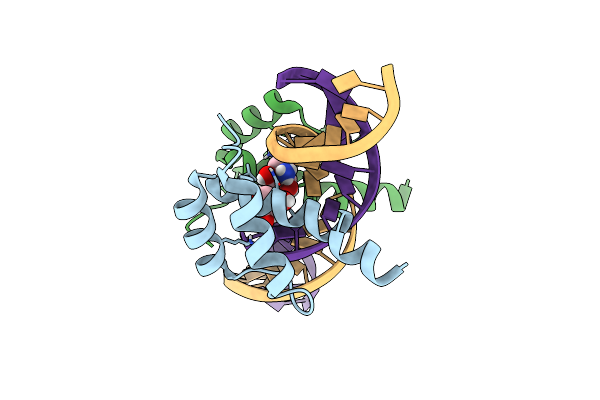 4XRM image