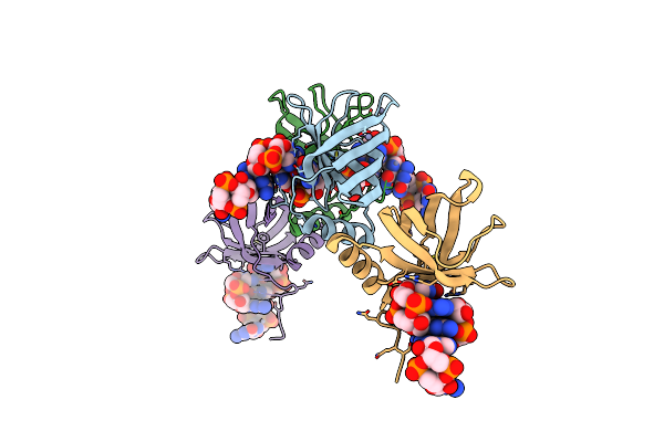 4XRN image