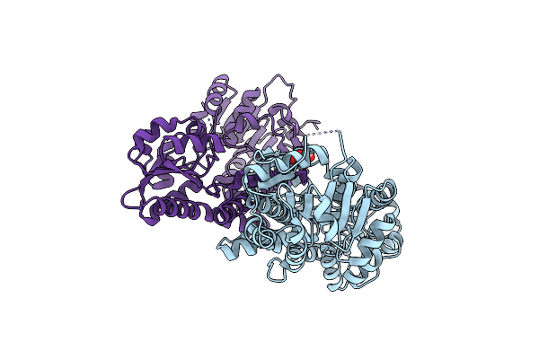 4XRR image