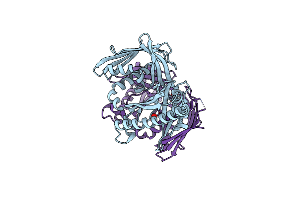 4XRT image