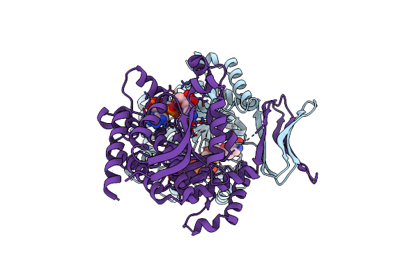 4XRX image