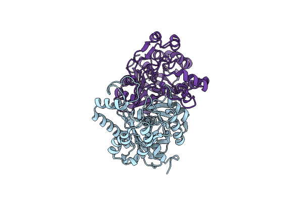 4XSA image