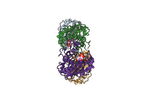 4XSD image