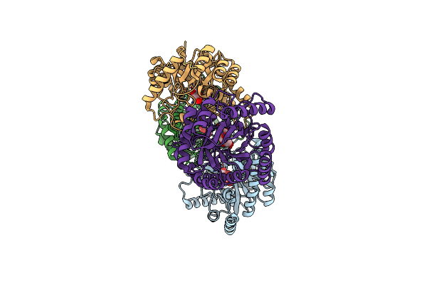 4XSM image