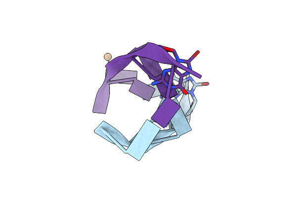 4XSN image