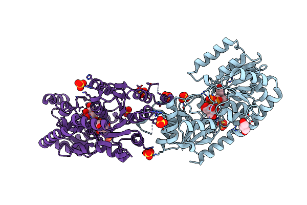 4XSU image