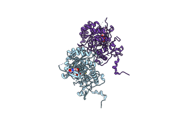 4XTD image