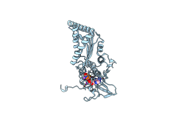 4XTJ image