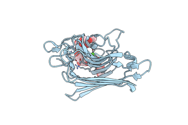 4XTM image