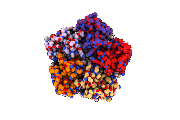 4XTN image