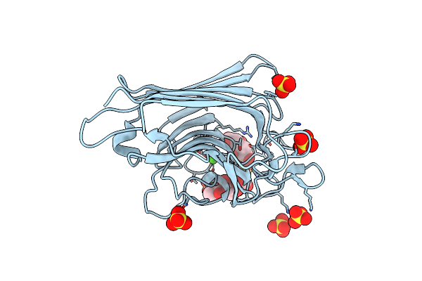 4XTP image