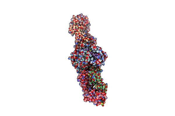 4XTR image