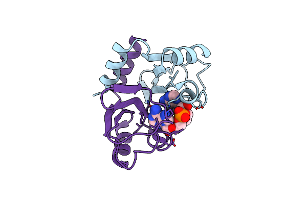 4XTT image