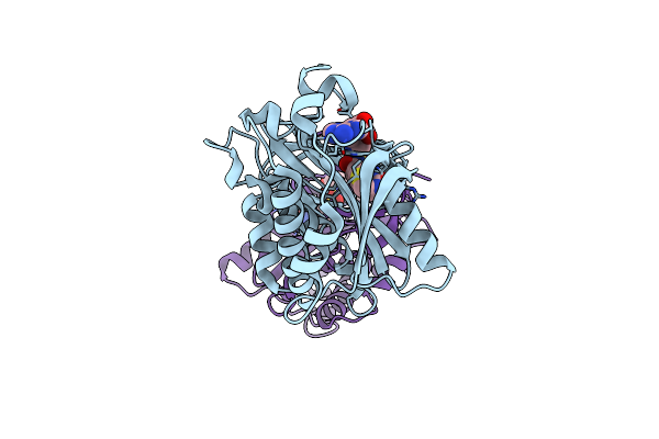 4XTU image