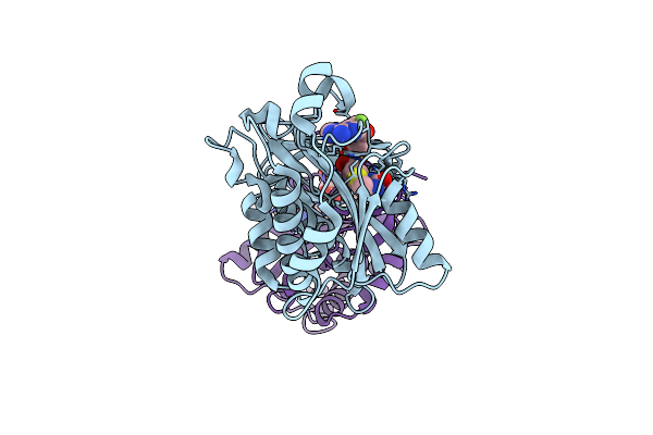 4XTZ image