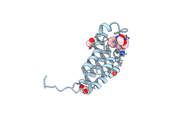 4XUA image