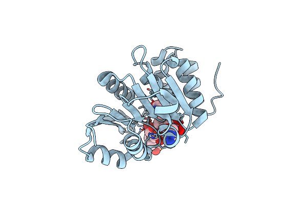 4XUD image