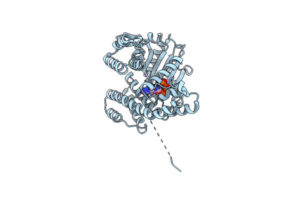4XUL image