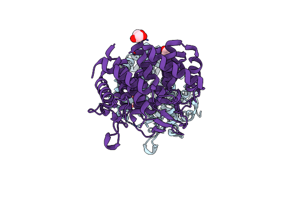 4XUV image