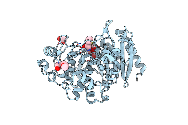 4XUX image