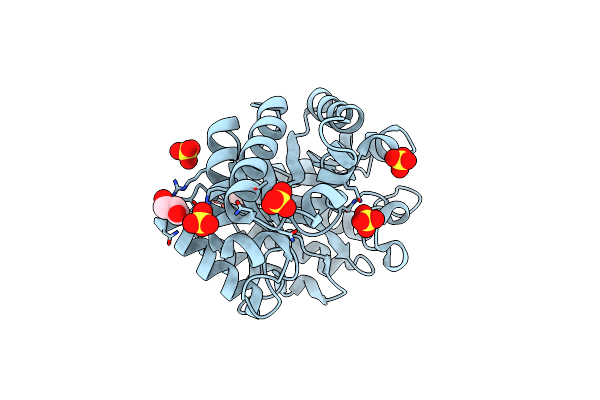 4XV0 image