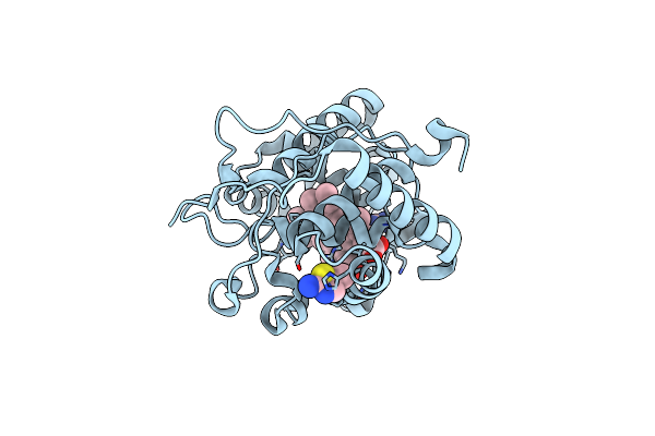 4XV4 image
