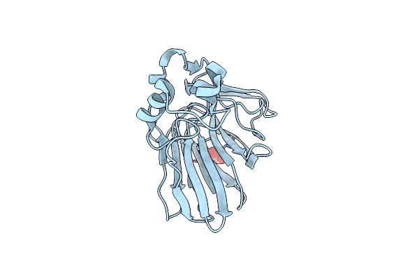 4XVB image