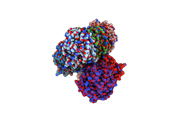 4XVC image