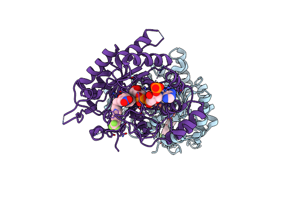 4XVD image