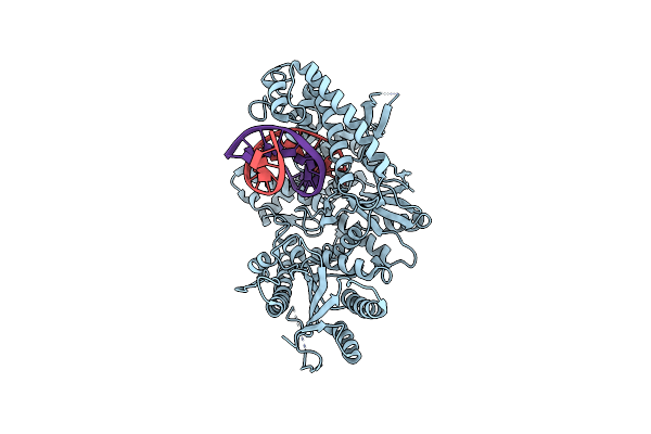 4XVI image