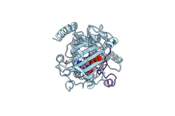 4XW4 image