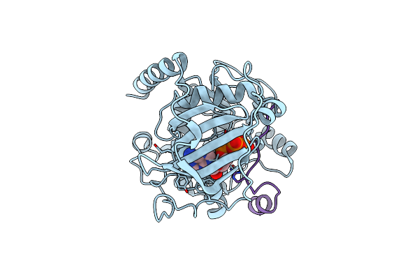 4XW5 image