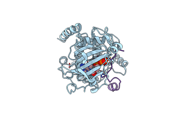 4XW6 image