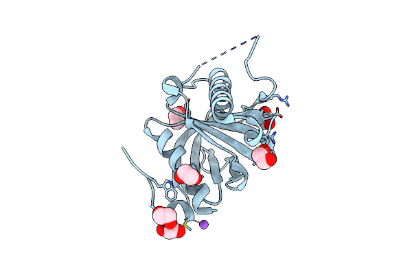 4XWX image