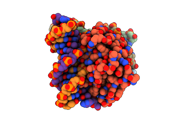 4XXE image