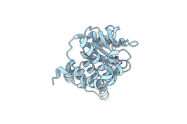 4XXF image