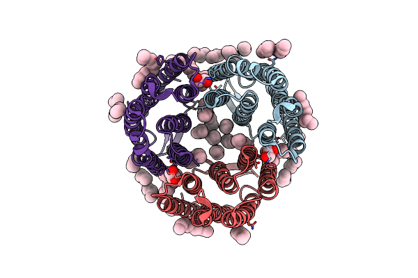 4XXJ image