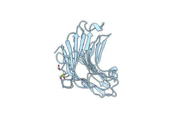 4XXP image