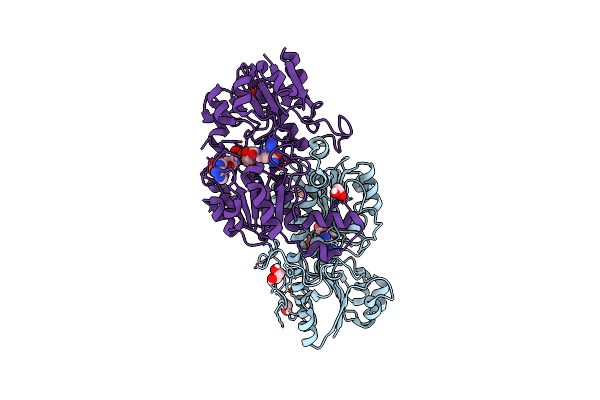 4XYB image