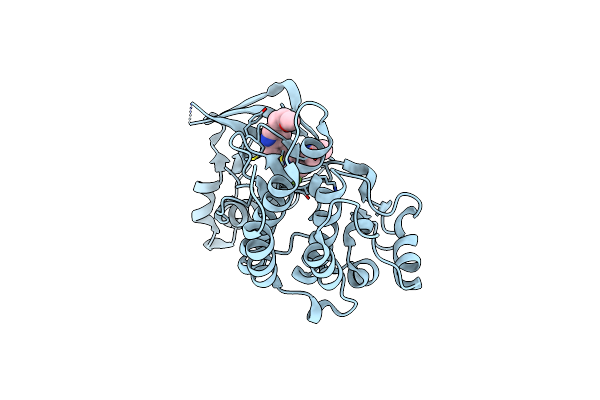 4XYF image